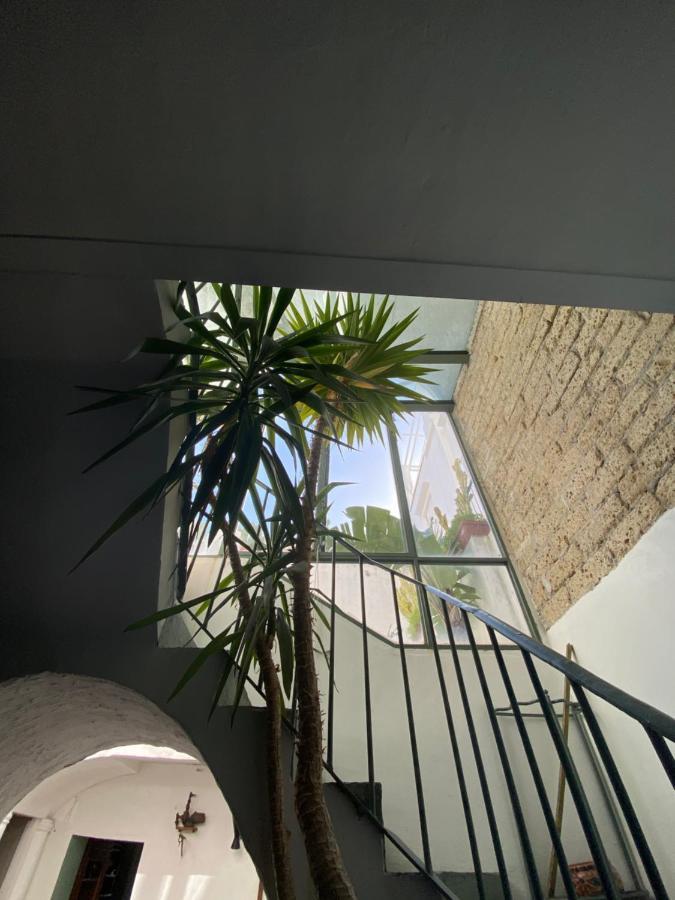 Suites Edivino Design 卡普里 外观 照片