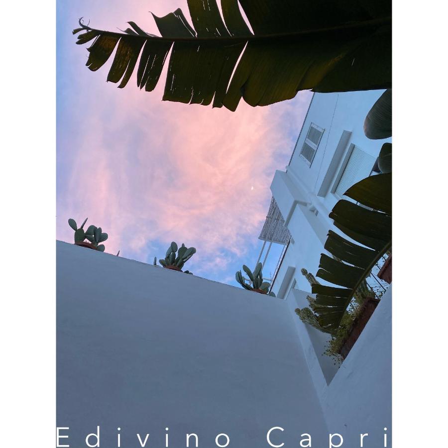 Suites Edivino Design 卡普里 外观 照片